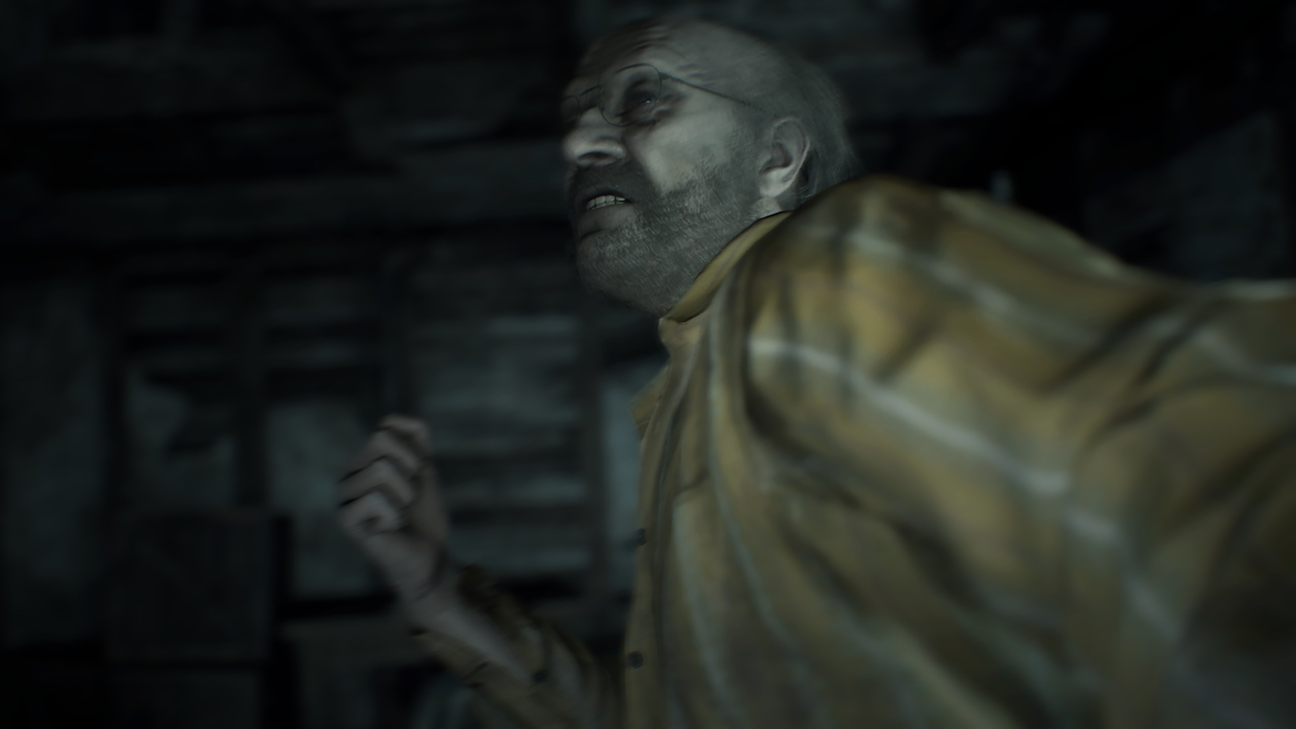 Resident Evil 7 biohazard - Imagen 14
